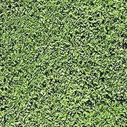 FunStick Green Botanical Leaf Wallpaper Peel and Stick Greenery Grass Wall Paper Decor Removable Green Contact Paper Peel and Stick Wallpaper for Bedroom Bathroom Wall Panels Cabinets Shelf 17.5"x118"