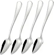 GARVALON Home Stainless Steel Baby Toddler Feeding Spoons Fruit Scraping Utensils Essential Baby Feeding Supplies for Infants