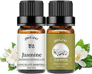 yethious Jasmine Gardenia Essential Oil Set 100% Pure Gardenia Fragance Oil Jasmine Aromatherapy Oils for Diffuser - 2 Pack 10ML