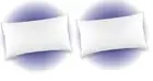 Down Pillow Set Of 2 King Size Pillow Bed Pillow Standard Soft NEW Ethical