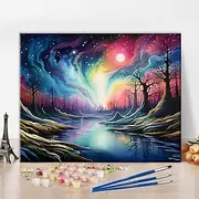 Aurora DIY Paint by Numbers Enchanted Galaxy Paint by Numbers Kit for Adults Abstract Landscape Art Oil Paint by Numbers Kits on Canvas Abstract Style Paint by Numbers for Adults Beginner 16x20inch