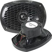 WZ69MK 6x9-Inch 2-Way Marine Speaker, 1200W Max, 4 Ohms, 20oz Magnet, Black Injection Cone with Rubber Edge for Boats and Outdoor Audio (2 Speakers)
