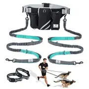 SHINE HAI Retractable Hands Free Dog Leash with Dual For 2 Dog Blue/Black