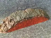 Australian hardwood Jarrah burl slice. Wood turning. Carving