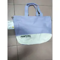 在飛比找蝦皮購物優惠-PANTONE UNIVERSE包