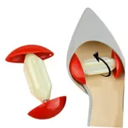 2 Pcs Shoes Stretchers - Adjustable Mini Height Width Extenders, Plastic High