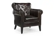 Carson Leather ArmChair Relaxing Accent Chair