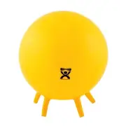 30-1891 Non-Slip Inflatable Exercise Ball with Stability Feet for Exercise, W...
