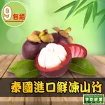 【享吃鮮果】泰國進口鮮凍山竹9包(500G±5%/約4-10顆/包)