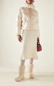 [Moncler] Briancon Technical Organza Down Jacket
