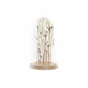 Decorative Figure Dkd Home Decor Crystal 18 x 18 x 32 Cm