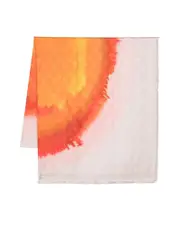 Alexander Mcqueen Gradient Skullprint Scarf