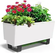 Glowpear Self Watering Planter Box - 23.6", White - UV Stable, Scalable Mini Bench Raised Garden Bed with Water Gauge, Indoor Outdoor for Vegetables, Flowers, Herbs, and Succulents, Gardening