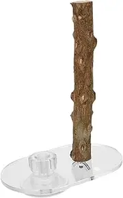 Totority Parrot Suction Perch: Natural Wood Bird Stand Platform Cage Window Perch With Suction Cup Birdcage Accessories For Cockatiels Parakeets Budgies