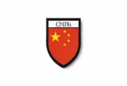 PATCH PATCHES EMBLEM IRON ON GLUE PRINT FLAG world crest china