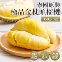 在飛比找momo購物網優惠-【榴槤大爺】泰國極品金枕頭榴槤350克x6盒(原裝進口)