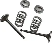 1 Set Durable Valve Springs Parts for Honda GX160 GX200 168F 170F 5.5-6.5HP Gasoline Engine