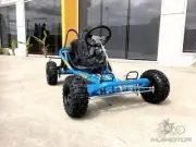 200CC 6.5HP Go Kart ATV QUAD Dune Buggy 4 Stroke Upgraded Auto Adult Kids BLUE