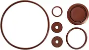 Chapin 6-8180 Piston Pump Repair Kit for Most Chapin Backpack Sprayers