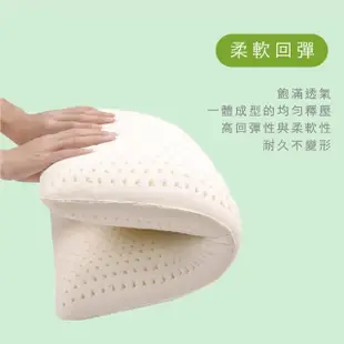 【Arnold Palmer雨傘牌】透氣立體結構棉網乳膠枕1入(麵包枕)
