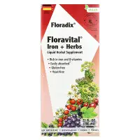 在飛比找iHerb優惠-[iHerb] Floradix，Floravital 鐵 