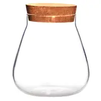 在飛比找蝦皮購物優惠-1 件帶蓋玻璃容器裝飾玻璃瓶帶軟木盆栽植物瓶撕裂罐,