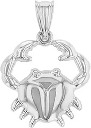 [Jewelry America] High Polish 14k White Gold 3D Cancer Zodiac Sign Charm Crab Animal Pendant, Gold, No Gemstone
