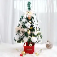 在飛比找蝦皮購物優惠-樂購專屬~韓版聖誕節迷你小聖誕樹擺件 帶燈60cm桌麵聖誕樹