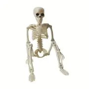NNEOBA 90cm Glowing Skeleton Decoration with Articulated Joints
