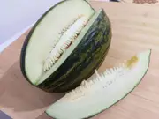 ROCKMELON Piel de sapo / Christmas melon / Santa Claus melon seeds