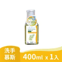 在飛比找PChome24h購物優惠-春風抗菌洗手泡泡慕斯(400ml)