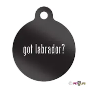Got Labrador Engraved Keychain Round Tag w/tab #2 lab Many Colors