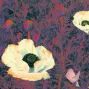 Green Pajamas-Sunlight Might Weigh Even More CD