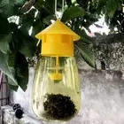 Reusable Outdoor Fruit Fly Trap Killer Cage Drosophila Trap Fly Catcher Hanging