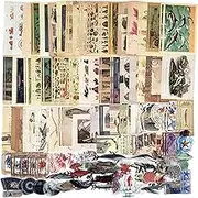200PCS Vintage Scrapbooking Supplies Pack for Junk Journal Bullet Journals Planners Decoupage Paper Scrapbook Stickers Aesthetic Cottagecore Collage Craft Album (Oceans)