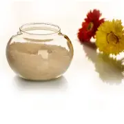 4.72" Glass Sugar Bowl Clear Home Kitchen Accessory Container with Lid and Spoon