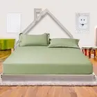 Palermo Low Bed for Kids - White Pine Wood Double Floor Bed