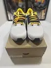 Size 13 - Nike Air Zoom Pegasus 40 Michigan