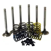 VALVE TRAIN KIT FOR DAVID BROWN 780 880 885 1190 1194 TRACTORS.