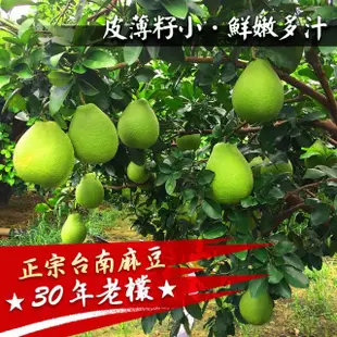 📢📢📢免運可送禮大台北地區快送🍐柚見中秋🌙正宗麻豆文旦禮盒🎁正老欉伴手禮中秋節文旦柚子麻豆文旦多汁10台斤5台斤特美級可