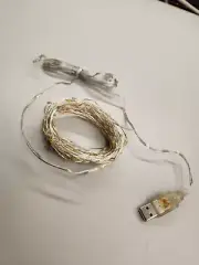 STRING FAIRY lights portable STRIP LED 30ft Warm White Usb party decor