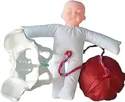 CHROX PVC Anatomy Model, Female Delivery Model Pelvic Fetal/Umbilical Cord/Placenta Pelvic Delivery Model Wrist Research Demonstration Medical Teaching Model