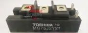 1PCS TOSHIBA MG75J2YS1 power supply module NEW 100% Quality Assurance