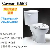 在飛比找蝦皮購物優惠-🔸HG水電🔸 Caesar 凱撒衛浴 單段式省水馬桶 CT1