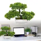 Bonsai Simulation Artificial Plants Fake Pine Tree Home Decor Flowers In Pots