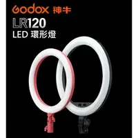 在飛比找樂天市場購物網優惠-【EC數位】Godox 神牛 LR120P LR120B L