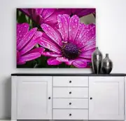 cape-basket-flower-composites-fWALL ARTS SCENERY high quality Canvas home decor