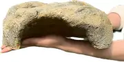 Extra Large Reptile Hide Resin Snake Hides for Ball Pythons Reptile Hides and Ca
