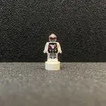 LEGO MARVEL 樂高 漫威系列 ANT-MAN 蟻人 量子服 76131