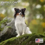 2025 Papillons Monthly Wall Calendar | 12" X 24" | Thick Sturdy Paper | Dog Cal